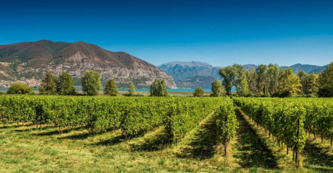 From Milan: Full Day in Franciacorta. 2 Wineries & Lunch - Frequently Asked Questions