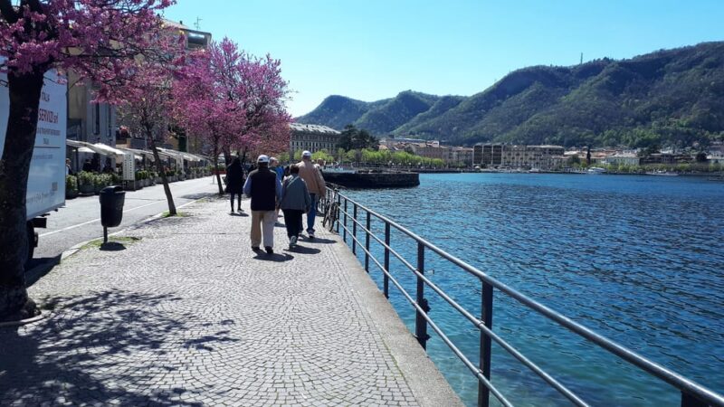 From Milan: Lake Como, Bellagio and Lugano Full-Day Trip - Inclusions and Restrictions