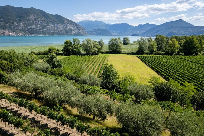 From Milan: Lake Iseo, Bergamo & Franciacorta Wine Tour - Highlights of the Tour