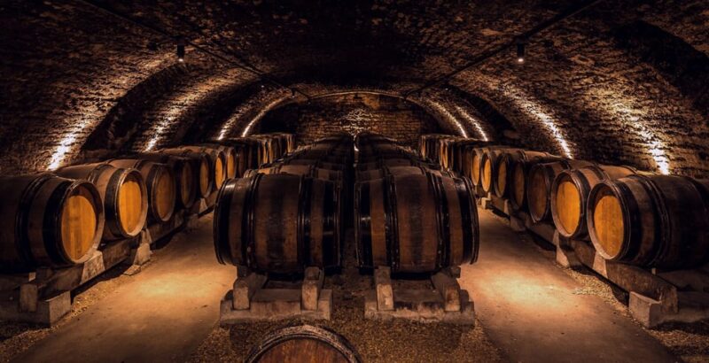 From Milan: Pavia & Oltrepò Pavese Private Day Trip W/ Lunch - Sparkling Wine Capital and Pinot Noir