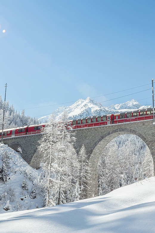 From Milan: St. Moritz and Panoramic Bernina Express Tour - Key Points