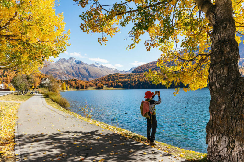 From Milan: St. Moritz and Panoramic Bernina Express Tour - Scenic Experience