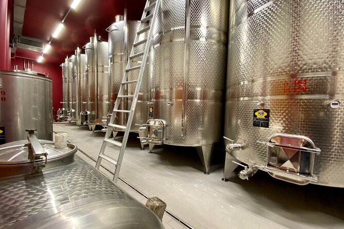 From Milan to Venice, Through the Amarone Region, Lunch & Verona - Tasting Valpolicella Wines