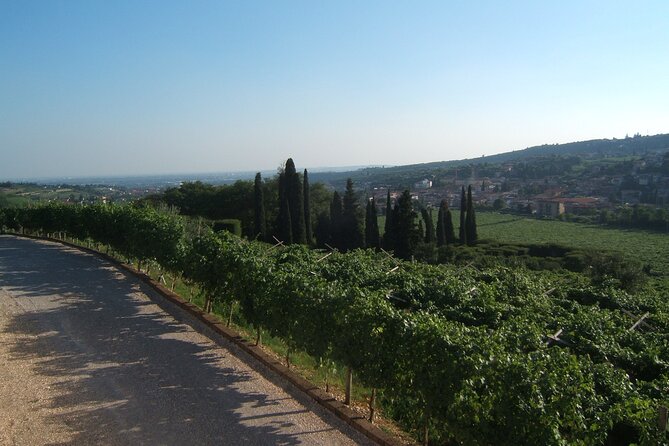 From Milan to Venice, Through the Amarone Region, Lunch & Verona - Discovering the Ancient Villages
