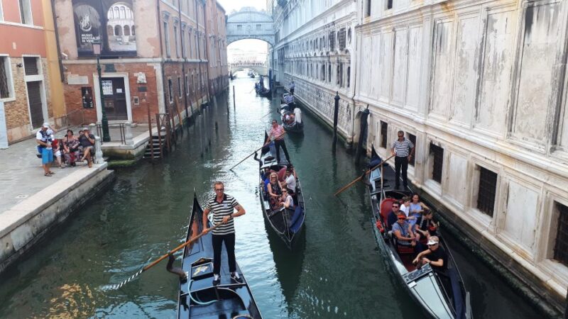 From Milan: Venice City Highlights Guided Day Trip - Key Points