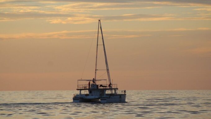 From Mirissa: Private Whale Watching Tour With Sunset - Whale Watching Experience
