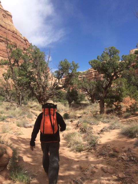 From Moab: 1-Day Horseshoe Canyon Exploration - Included in the Tour