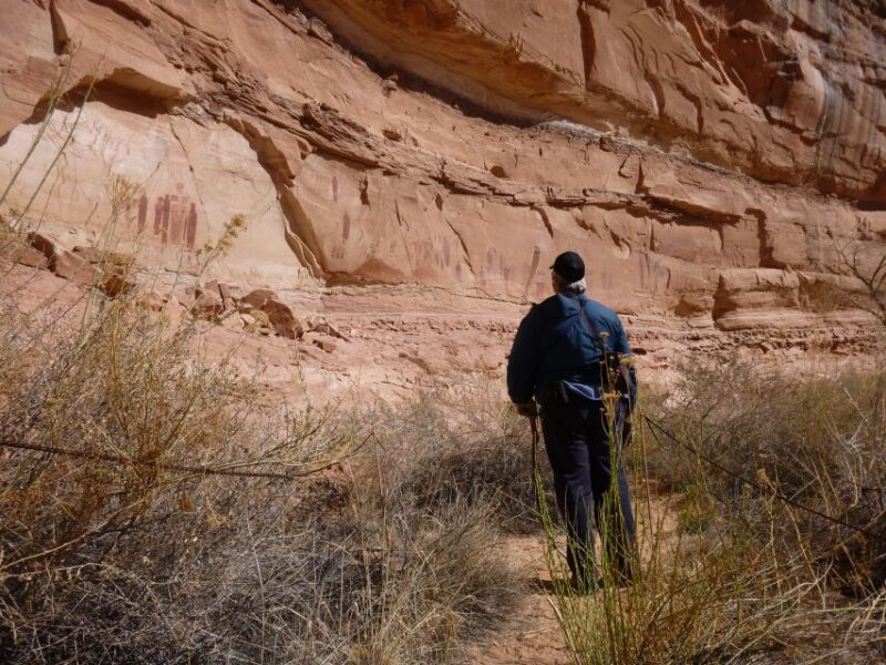 From Moab: 1-Day Horseshoe Canyon Exploration - Preparation and Requirements