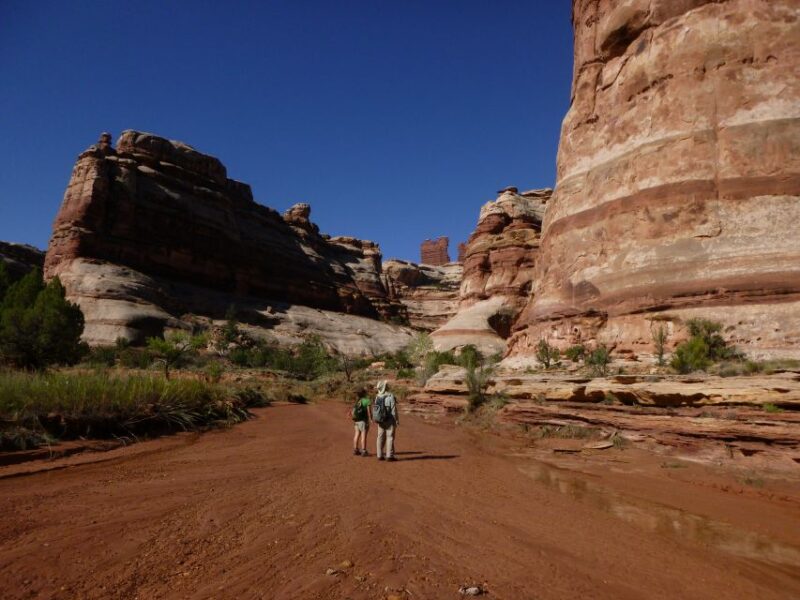 From Moab: 1-Day Horseshoe Canyon Exploration - Important Information