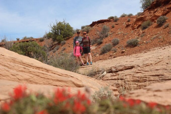 From Moab: 1-Day Horseshoe Canyon Exploration - Pickup and Transportation