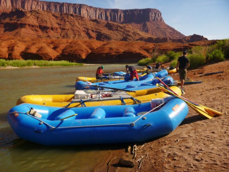 From Moab: Colorado River Guided Rafting Trip - Pricing and Cancellation