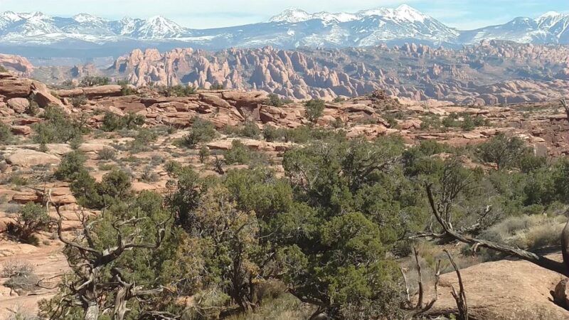 From Moab: Rock of Ages Moderate Rappelling Obstacle Course - Three Thrilling Rappels