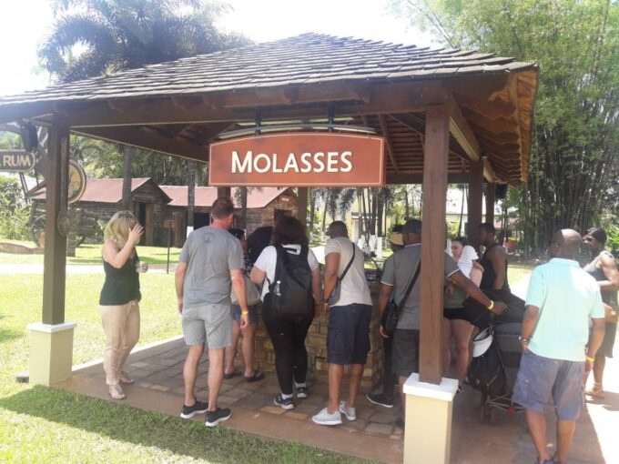 From Montego Bay: Appleton Estate & Pelican Bar Private Trip - Suitability Considerations