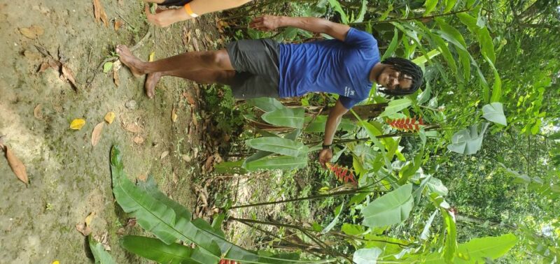 From Montego Bay: Blue Hole Waterfall Experience - Inclusions and Requirements