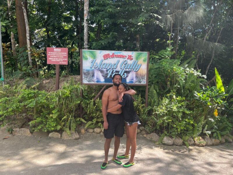 From Montego Bay: Bluehole Secret Falls & Dunns River Falls - Itinerary and Activities