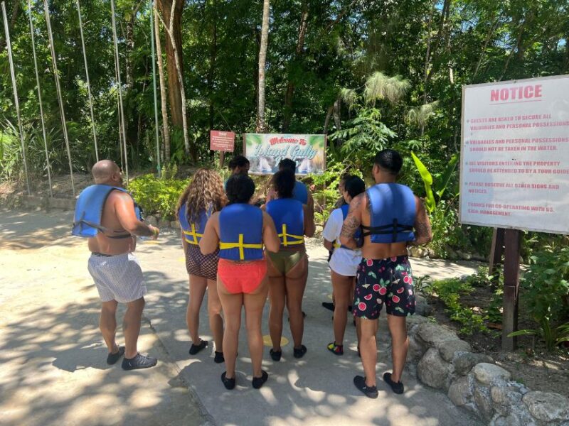From Montego Bay: Bluehole Secret Falls & Dunns River Falls - Participant Information