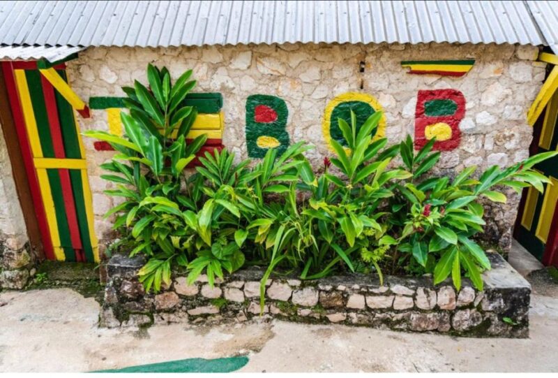 From Montego Bay: Bob Marley 9 Mile & Dunns River Falls Tour - Transportation and Accessibility