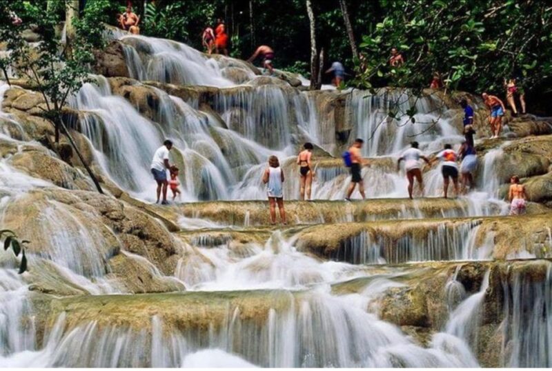 From Montego Bay: Bob Marley 9 Mile & Dunns River Falls Tour - Culinary Experience