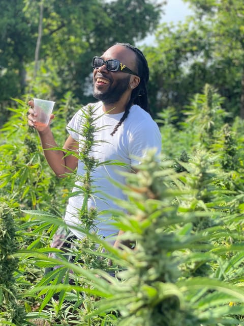 From Montego Bay: Ganja Farm Tour - Key Points