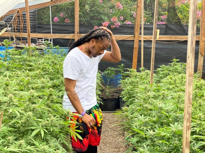 From Montego Bay: Ganja Farm Tour - Additional Costs and Information