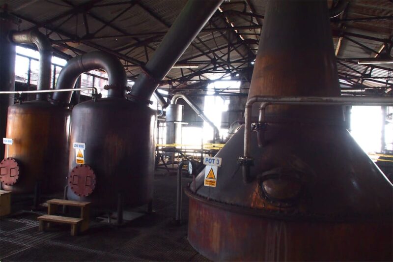 From Montego Bay: Hampden Estate Rum Tasting Tour With Lunch - Rum Sampling and Punch
