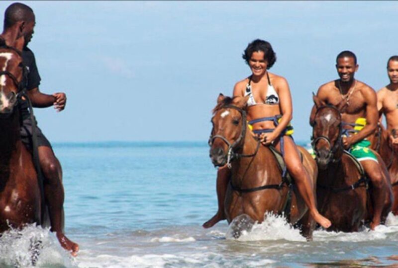 From Montego Bay: Horseback Riding-Swim & Dunns River Falls - Itinerary and Transportation