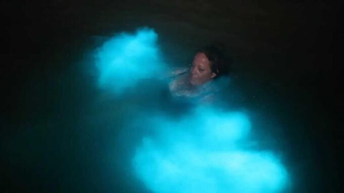 From Montego Bay: Luminous Lagoon Boat Tour With Transfer - Reserve and Pay Option