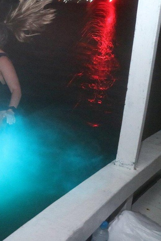 From Montego Bay: Luminous Lagoon Boat Tour With Transfer - Inclusions