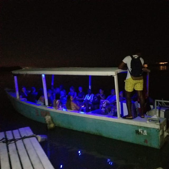 From Montego Bay: Luminous Lagoon Boat Tour With Transfer - Experience Highlights