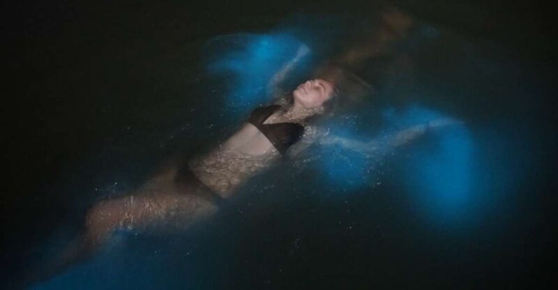 From Montego Bay: Luminous Lagoon Nighttime Boat Tour - Experience Highlights