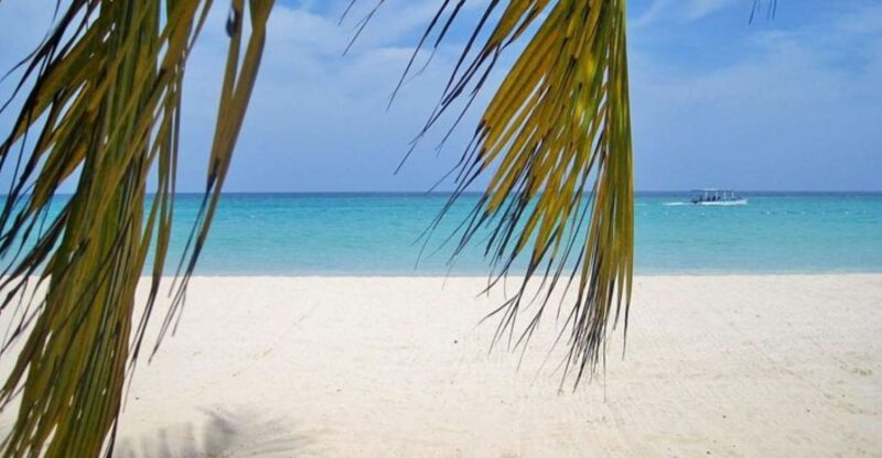From Montego Bay: Negril Beach and Ricks Café Day Trip - Key Points