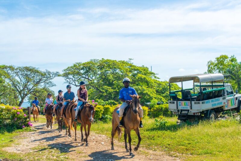 From Montego Bay or Negril: Chukka Horseback Ride and Swim - Customer Feedback and Ratings