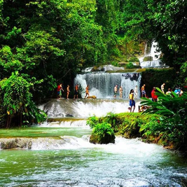 From Montego Bay to YS Falls and the Pelican Bar - Experience Highlights