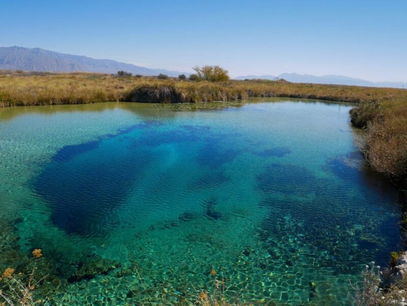 From Monterrey: One Day Tour in Cuatro Ciénegas Group 1800 - Itinerary Highlights