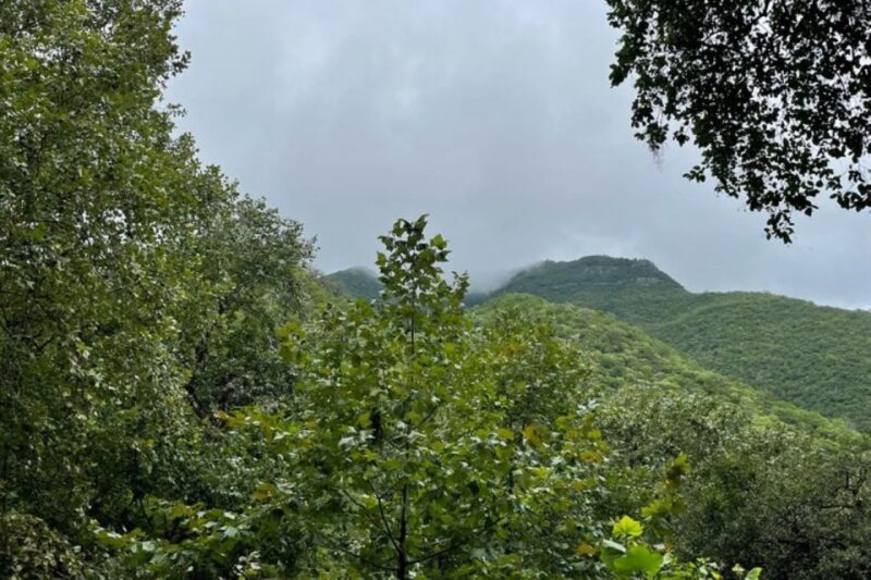 From Monterrey: Santiago Guided Half-Day Experience - Key Points