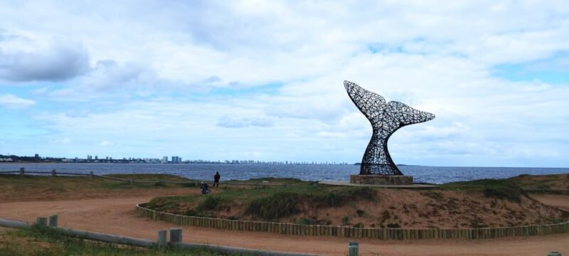 From Montevideo: Punta Del Este Full-Day Private Tour - Tour Highlights and Attractions