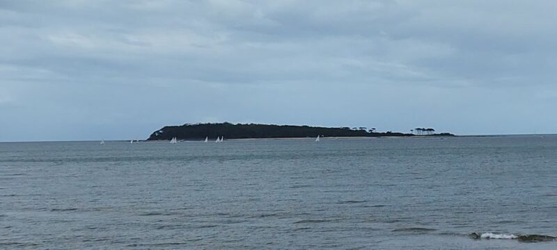 From Montevideo: Punta Del Este Full-Day Private Tour - Itinerary and Activities