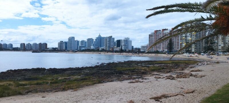 From Montevideo: Punta Del Este Full-Day Private Tour - Inclusions and Amenities