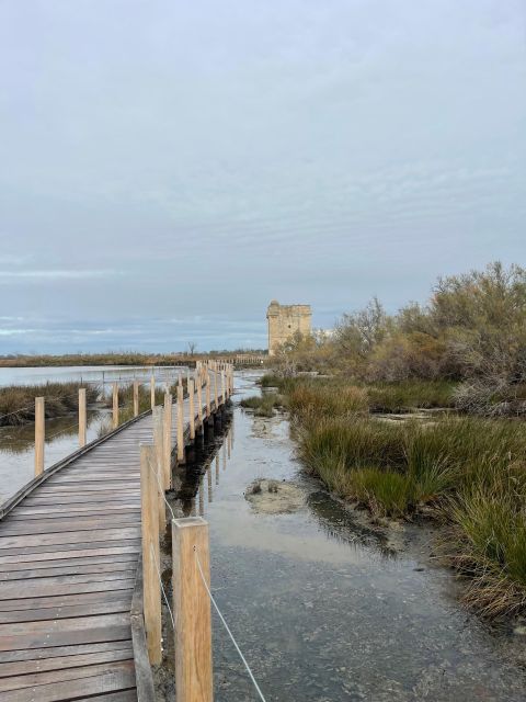 From Montpellier: Camargue and Salt Marshes Guided Tour - Pickup and Dropoff