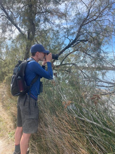 From Montpellier: Camargue and Salt Marshes Guided Tour - Salin Daigues-Mortes Guided Tour