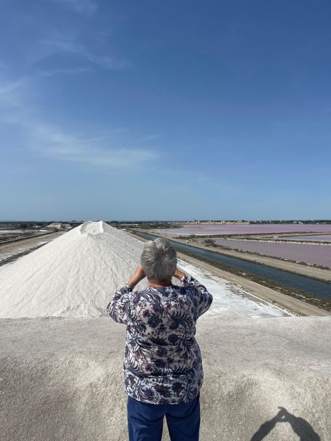 From Montpellier: Camargue and Salt Marshes Guided Tour - Aigues-Mortes Guided Tour