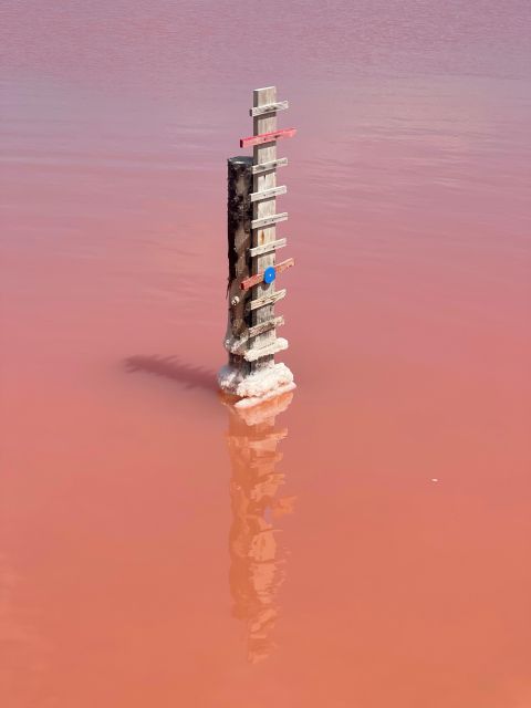 From Montpellier: Camargue and Salt Marshes Guided Tour - Highlights and Inclusions