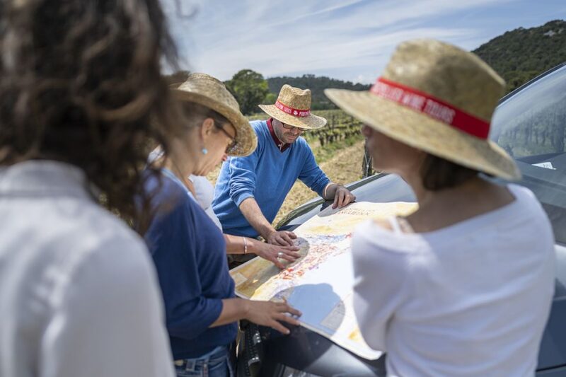 From Montpellier: Half-Day Vineyard & Pic Saint-Loup Tour - Wine Tasting Experiences