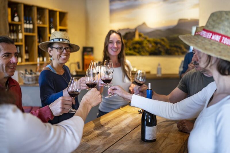 From Montpellier: Half-Day Vineyard & Pic Saint-Loup Tour - Guided Tours