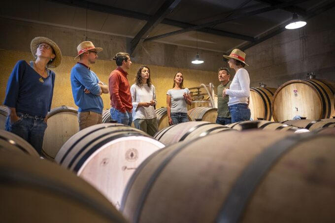 From Montpellier: Half-Day Vineyard & Pic Saint-Loup Tour - Transportation and Group Size
