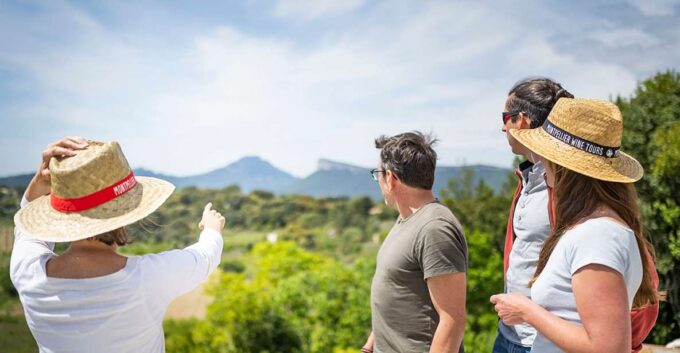 From Montpellier: Half-Day Vineyard & Pic Saint-Loup Tour - Booking and Pricing
