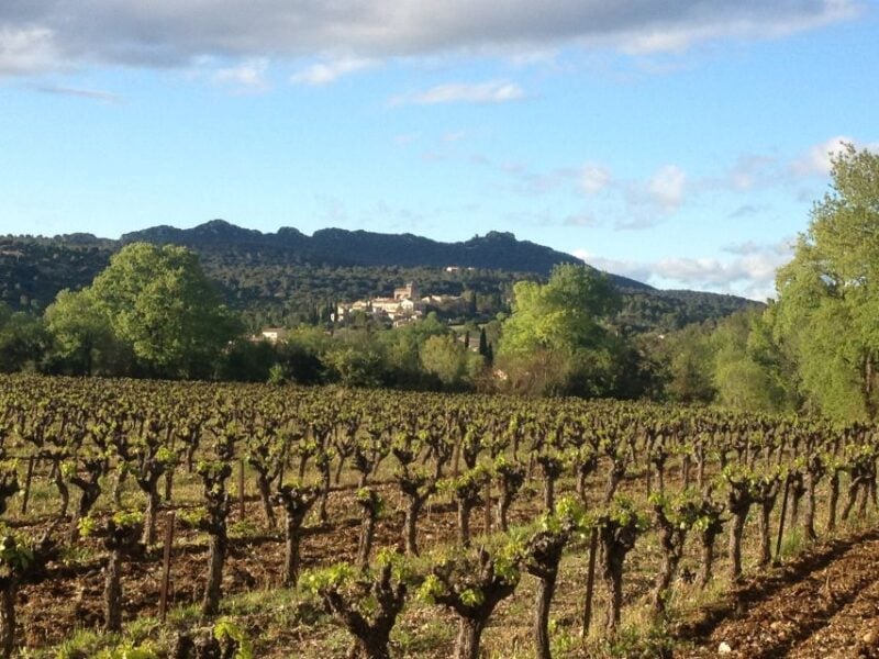 From Montpellier: Pic Saint-Loup Wine and Food Tour - Exploring the Countryside