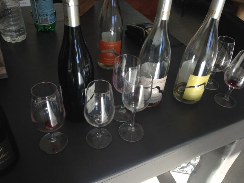 From Montpellier: Pic Saint-Loup Wine and Food Tour - Visiting the Winery