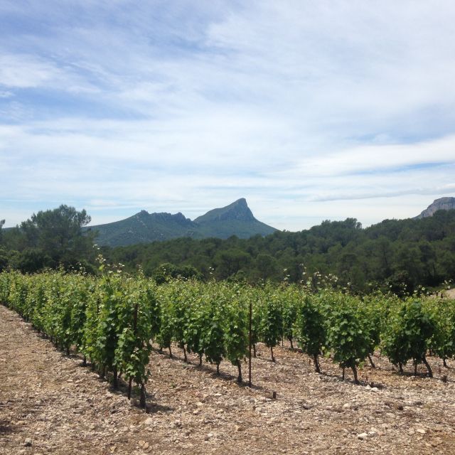 From Montpellier: Pic Saint-Loup Wine and Food Tour - Inclusions and Exclusions