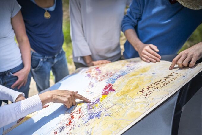 From Montpellier: Wine and Olive Tour - Cancellation and Refund Policy